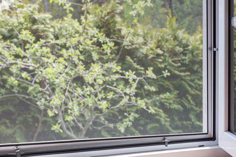 A window screen with trees and green foliage visible outside.